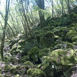 Dsc 1515