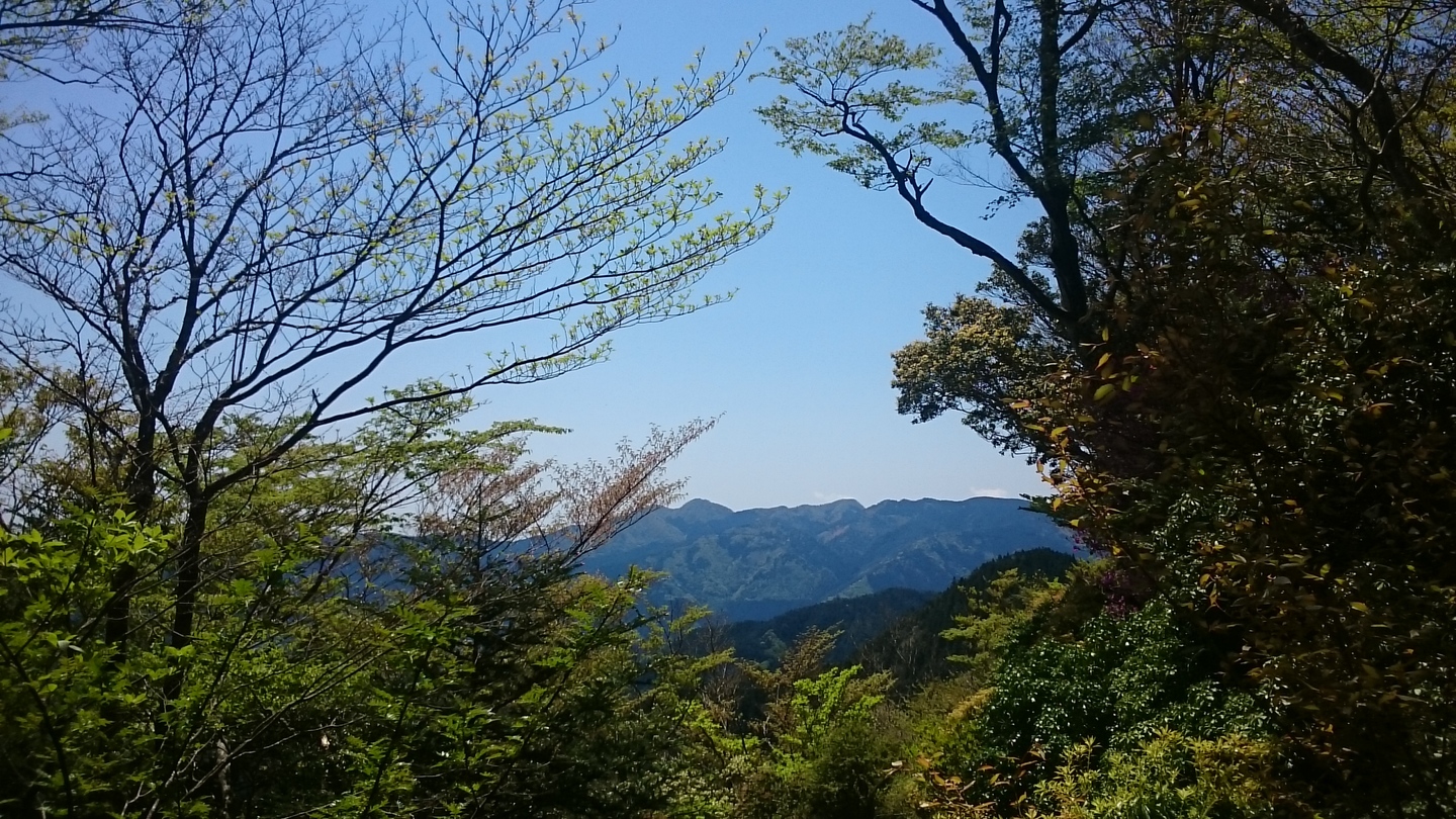 Dsc 1524