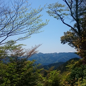 Dsc 1524