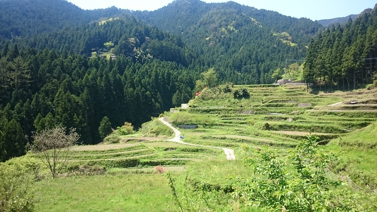 Dsc 1526