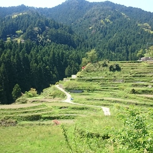 Dsc 1526