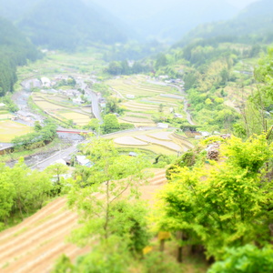 P5060366