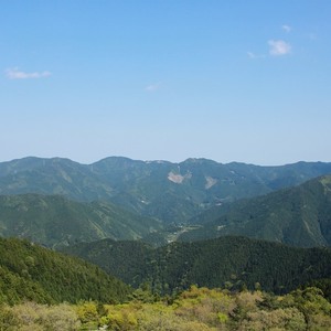 Img 8277