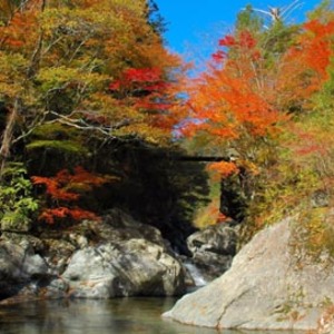 Tonogawa01