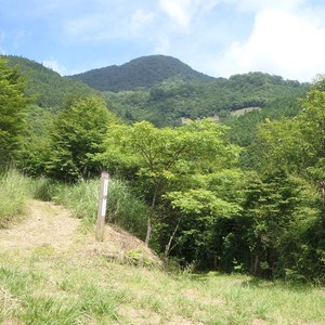 S p7033858