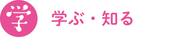 Stic learn
